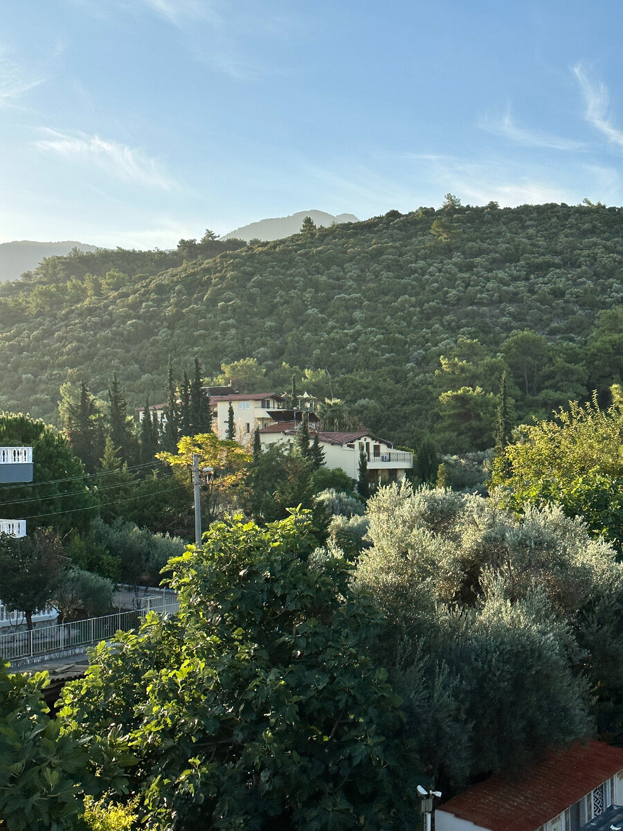 Вид из номера