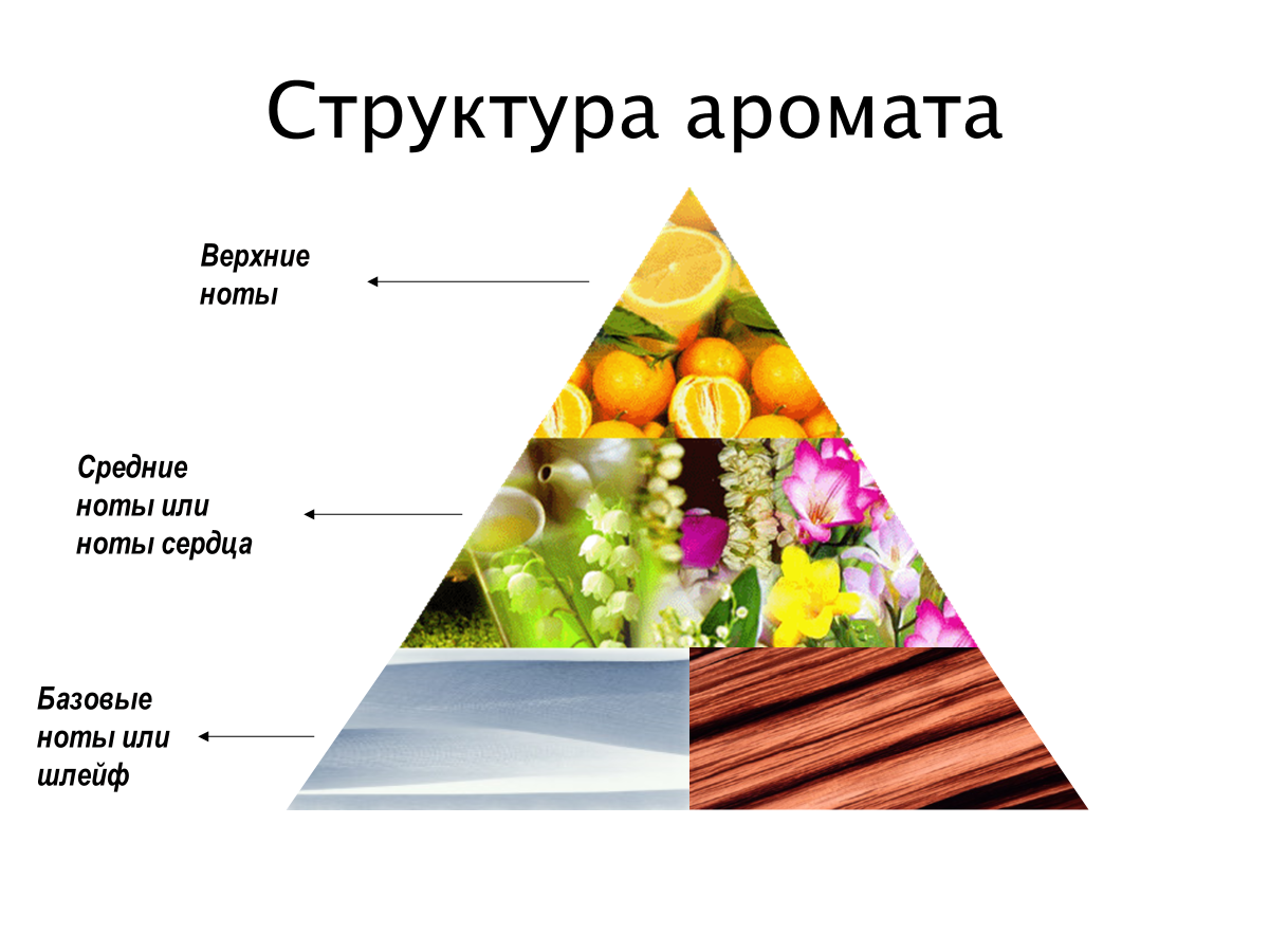 Пример ольфакторной пирамиды аромата