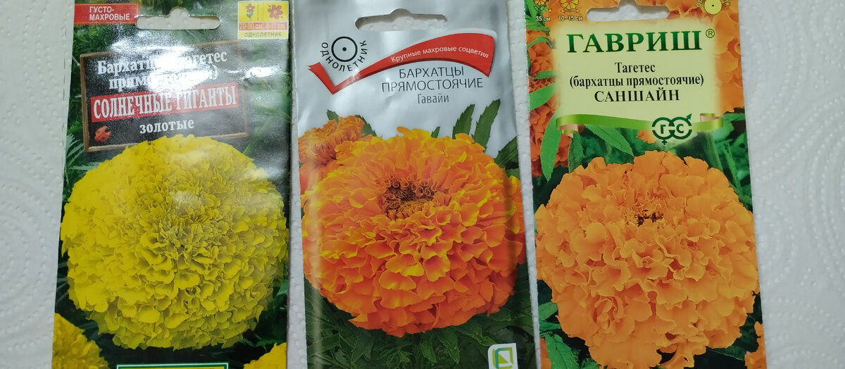 перегон автомобилей. еда за рулем. поехали на море. хочется ехать и ехать. нельзя отвлекаться за рулем.