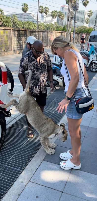 Thailand plyaj oarashutta uchish. Таиланд в марте. Ехать в тайланд сейчас. Туристы на пхукете. Туристы на пхукете.