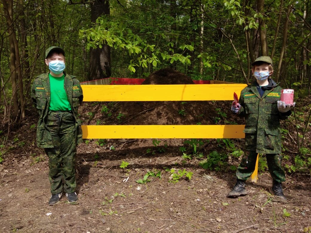 Юные лесоводы обезопасили муравейники: https://klh.mosreg.ru/sobytiya/novosti-ministerstva/11-06-2020-15-51-02-yunye-lesovody-obezopasili-muraveyniki
