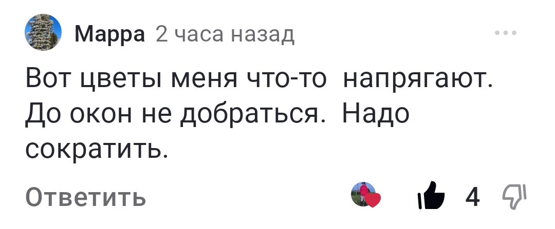 Три раза на холодную. Три раза на холодную