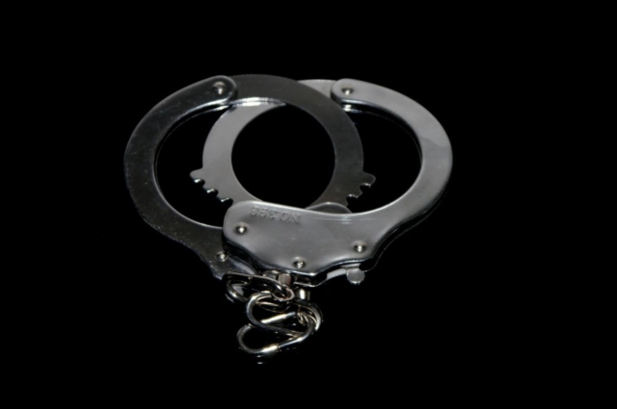    В Рязани 36-летнему мужчине грозит до десяти лет колонии за мошенничество