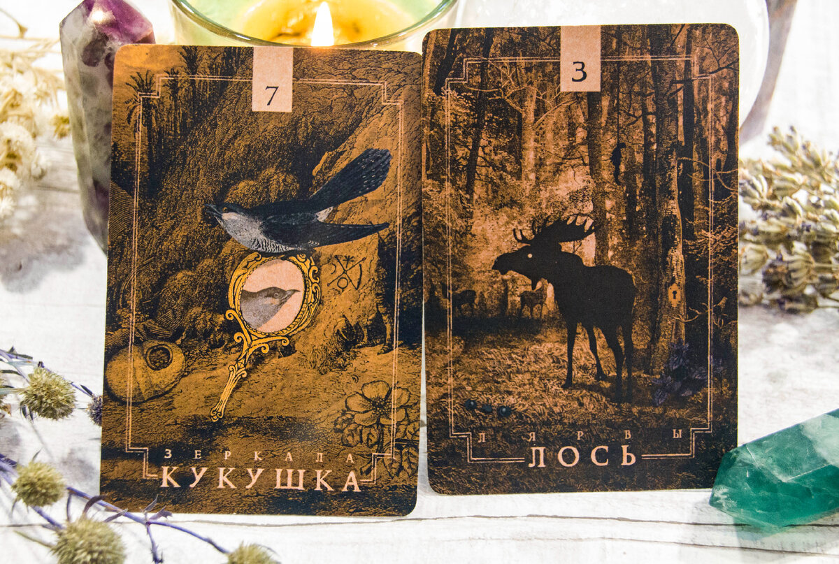 абсолютный отрицательный