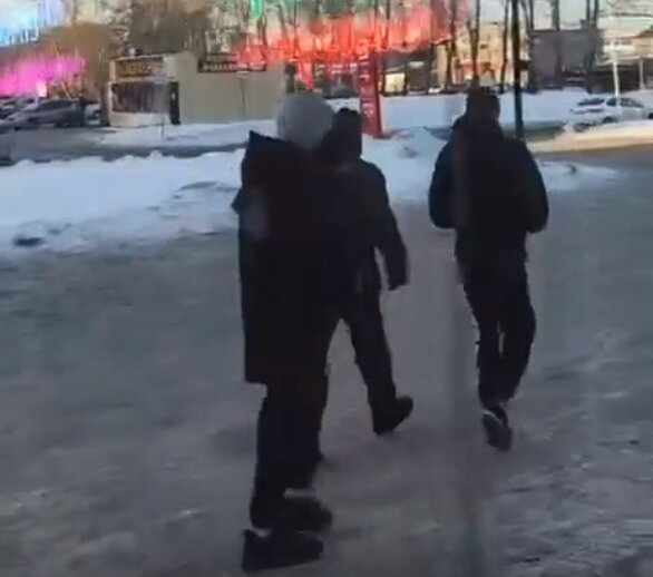 Забавные инциденты. Забавные инциденты. Аллигатор переходит дорогу. Забавные инциденты. Забавные инциденты.