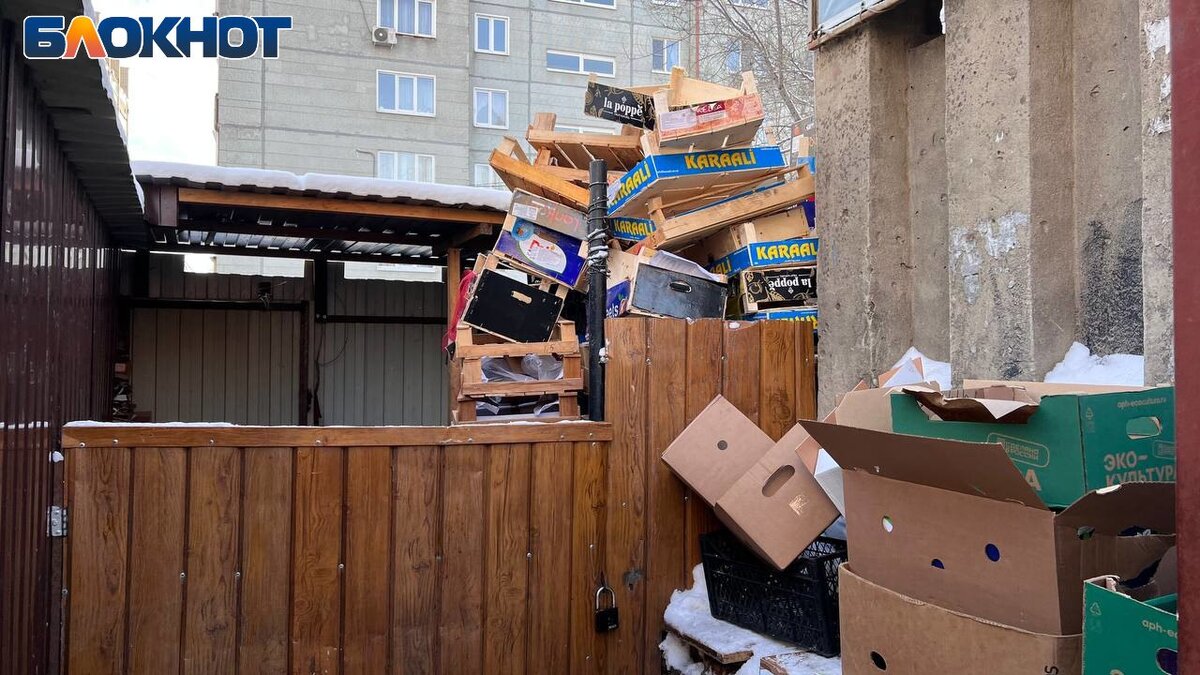 Две девушки целуют парня в щечку. Смеяться над другими. Подойти с двух сторон в. Подойти с двух сторон в. Парень оборачивается на девушку.
