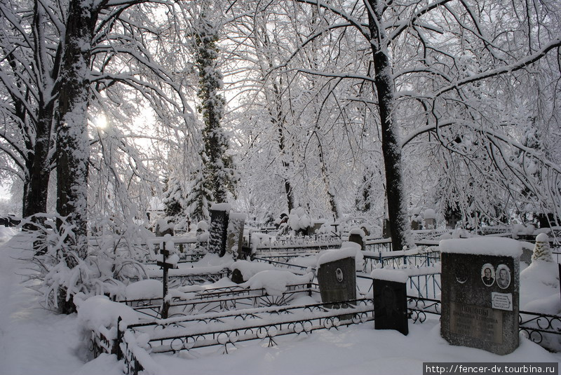 Зимнее кладбище. Заснеженное кладбище. Кладбище зима. Снег кладбище.