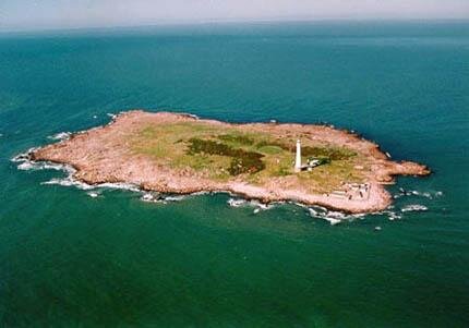 Остров лобос фото. Уругвай острова. Пунта де лесте. Национальный парк кабо полонио машины. Остров уругвай вид сверху.