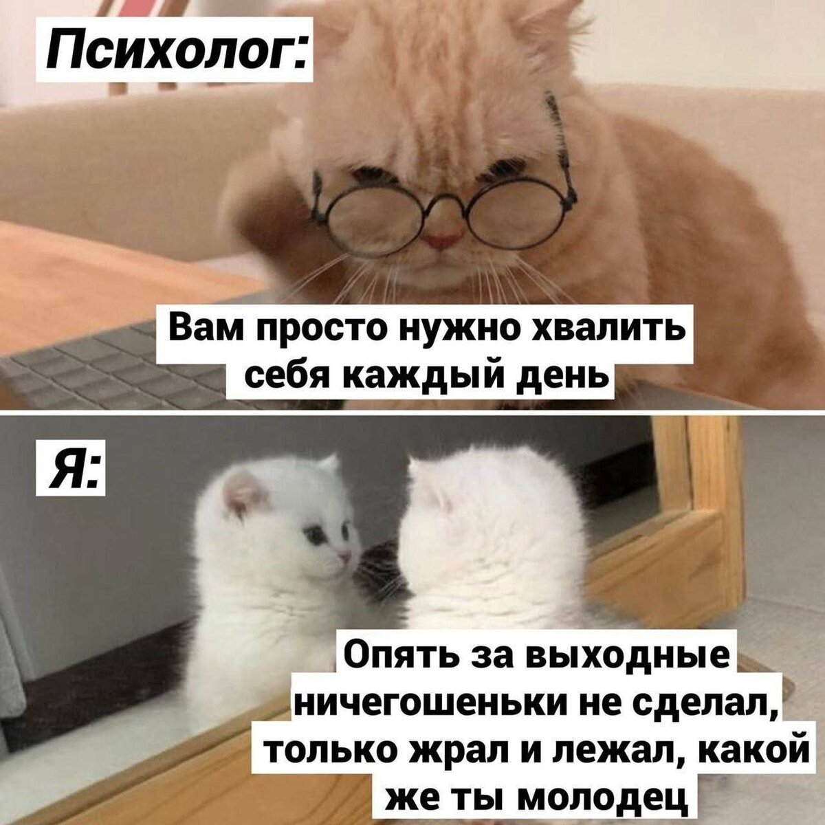 Мемы дня 2025 года 
