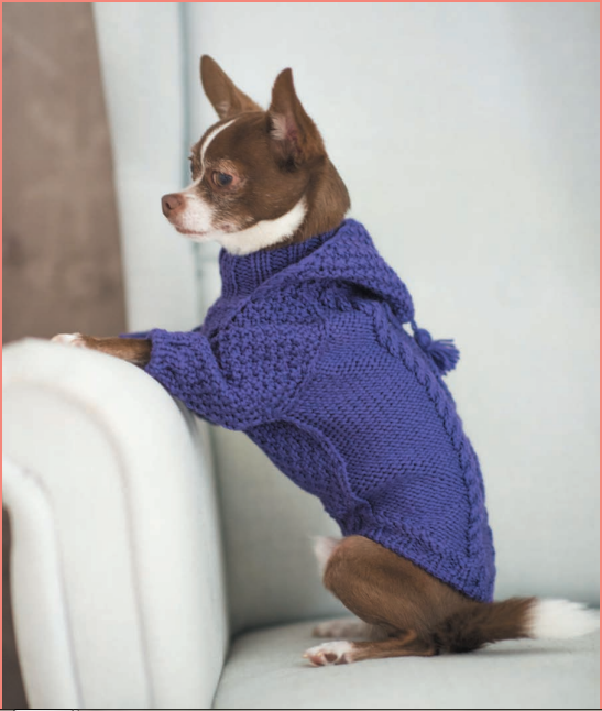 https://www.pinterest.es/ekaterinaepik/свитера-для-собак/