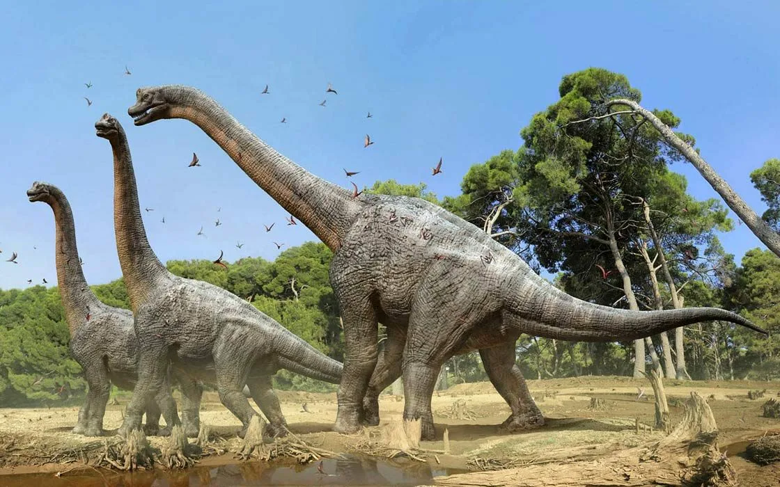 Травоядные динозавры Брахиозавр. Юрский период Брахиозавр. Брахиозавр парк Юрского периода 1. Мезозойская Эра Брахиозавры. Больше про динозавров