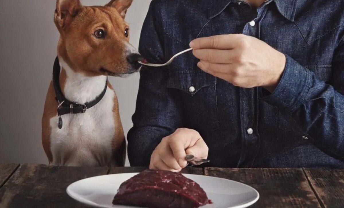 Фото с сервиса Яндекс-картинки.