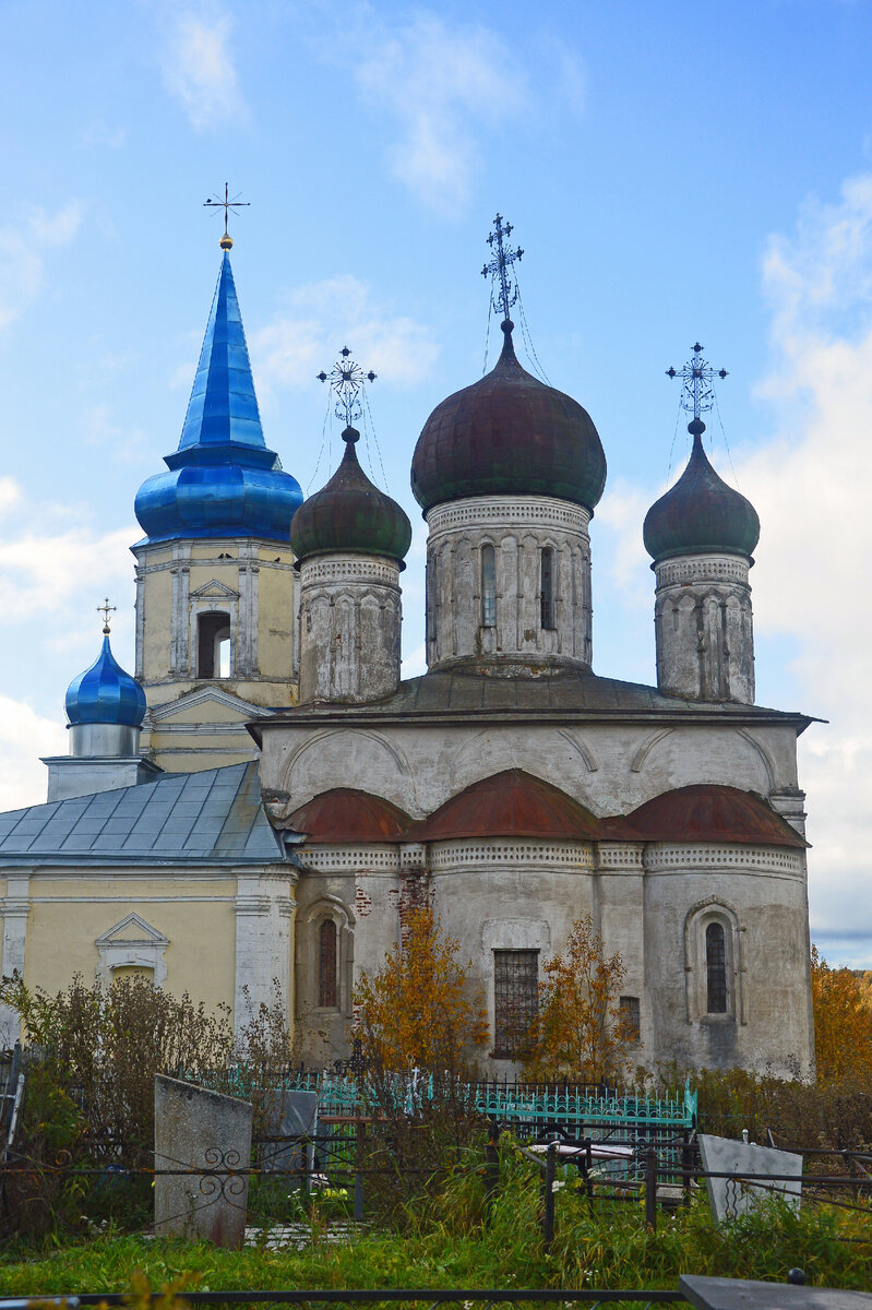 иванищенская сосна в тверской области. поселок иванищи гусь-хрустальный район. прогноз погоды в иванищи. погода в посёлке иванищи. иванищи владимирская область.