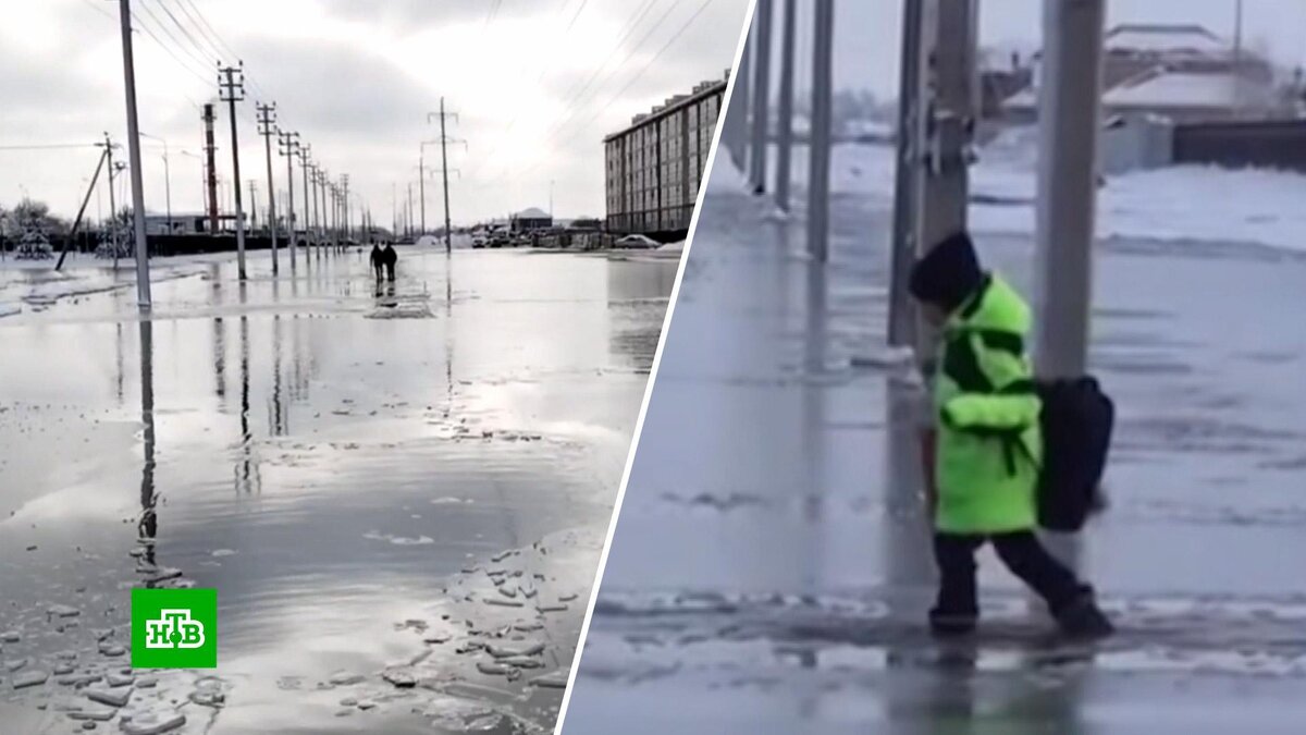 Краснодарские школьники вынуждены добираться на учебу по колено в воде |  НТВ: лучшее | Дзен