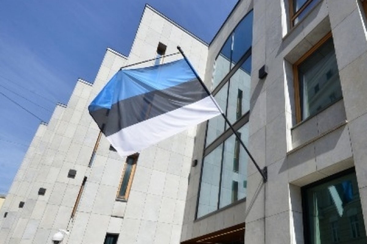    МИД Эстонии озвучил сроки создания механизма передачи Украине активов РФ