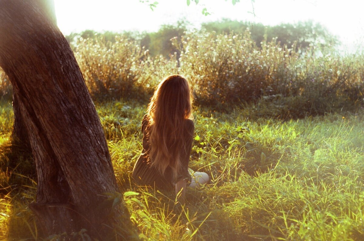 Девушка на природе со спины. Девушка с длинными волосами на природе. Девушка с коричневыми волосами. Девушка в лесу со спины. Тиго шатенка песня