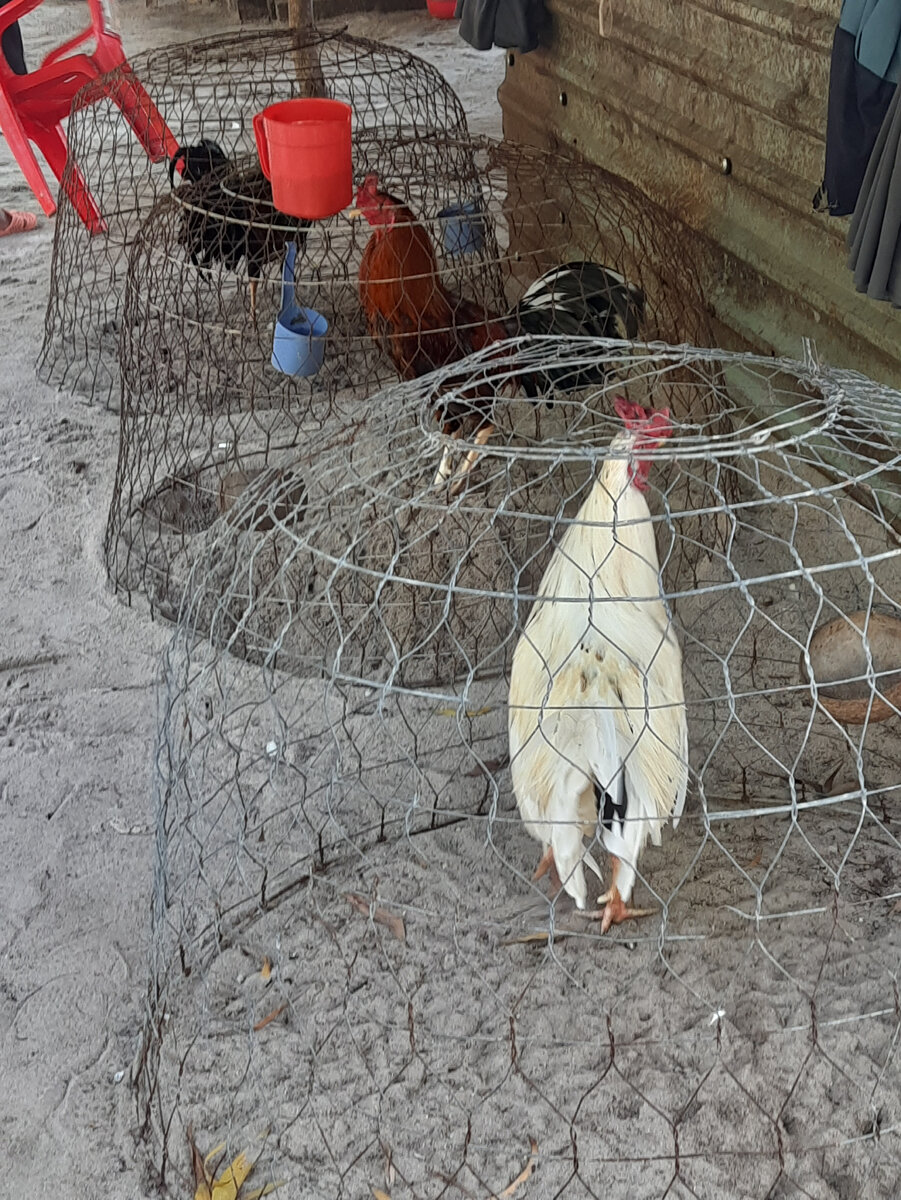 а вы куда едете на новый. куда съездить отдохнуть на новый год. сарказм шутки. думала куда поехать на новый. думала куда поехать на новый.