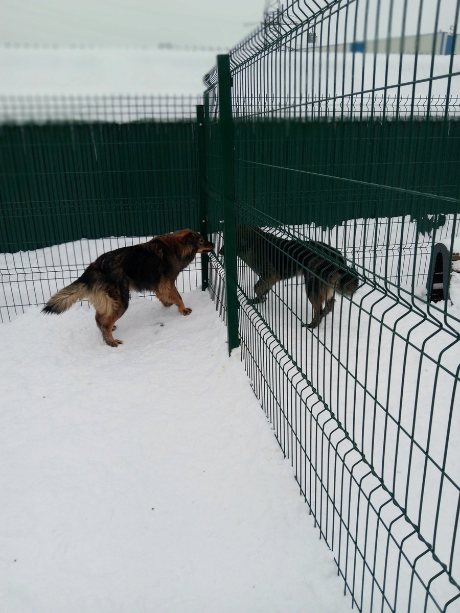 Машка слева