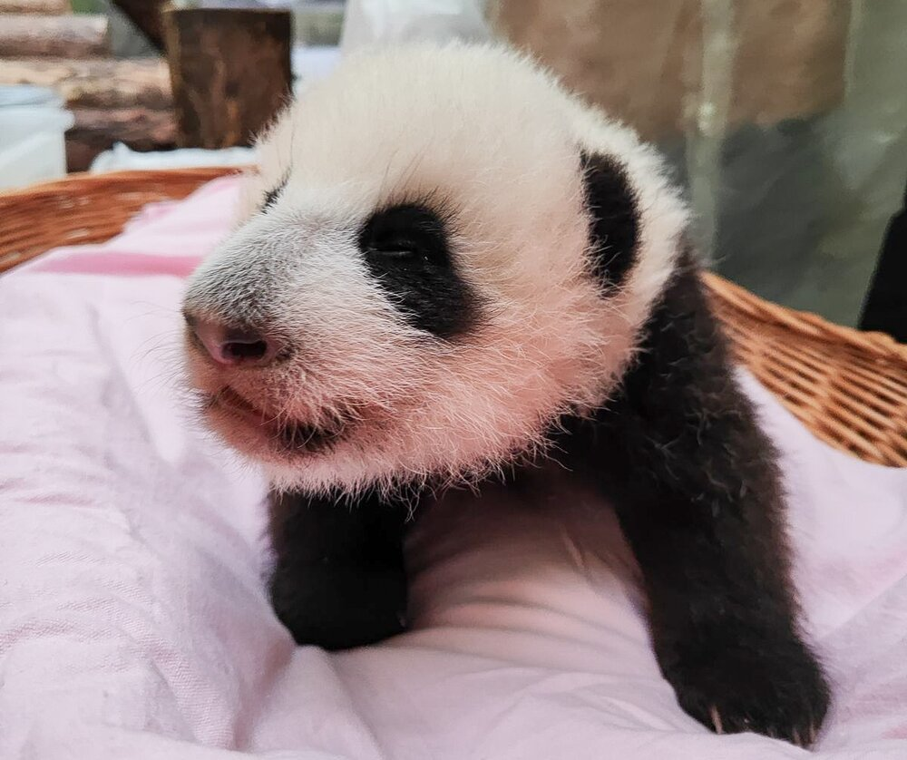 Фото: Агентство «Москва»