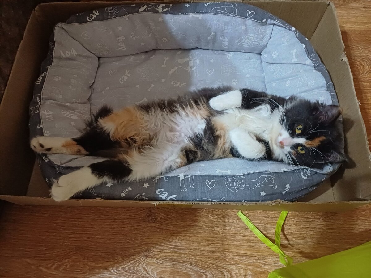 Анекдоты про пьяных баб. Когда пришла домой с работы. Я поздно ночью прихожу домой. Муж пришел поздно. Я поздно ночью прихожу домой.