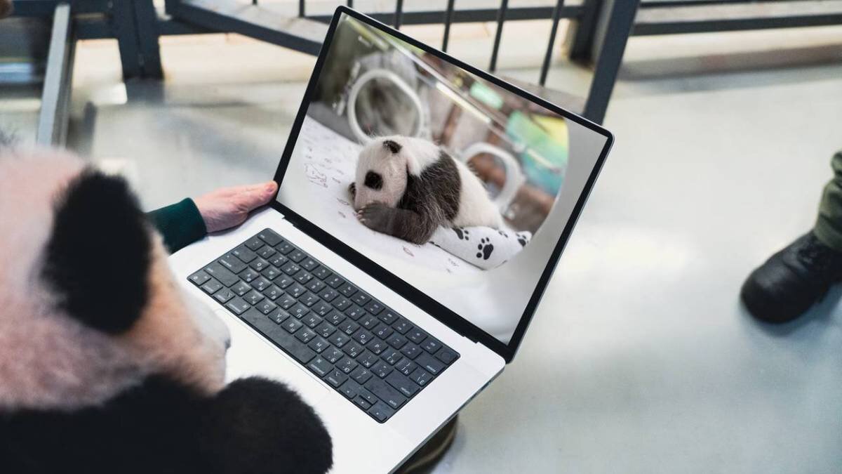    Фото: Telegram / Светлана Акулова