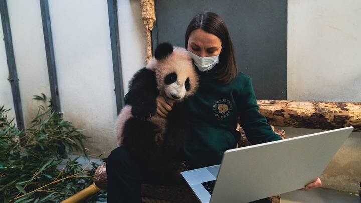  Фото: Telegram / Светлана Акулова