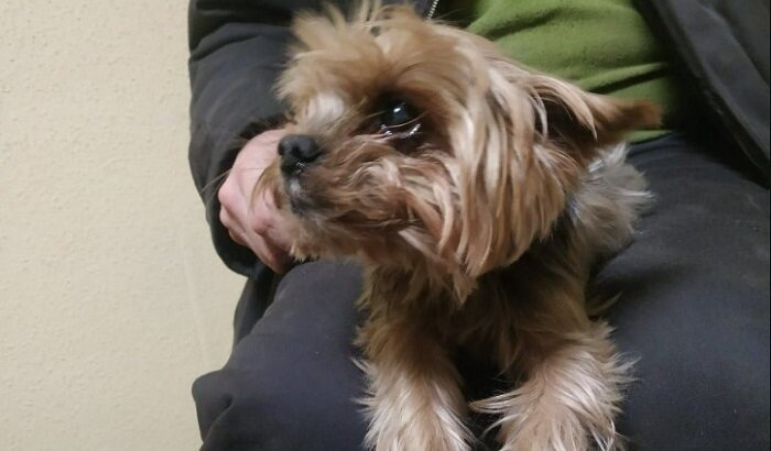    В отходах на мусороперерабатывающем заводе оказалась живая собака