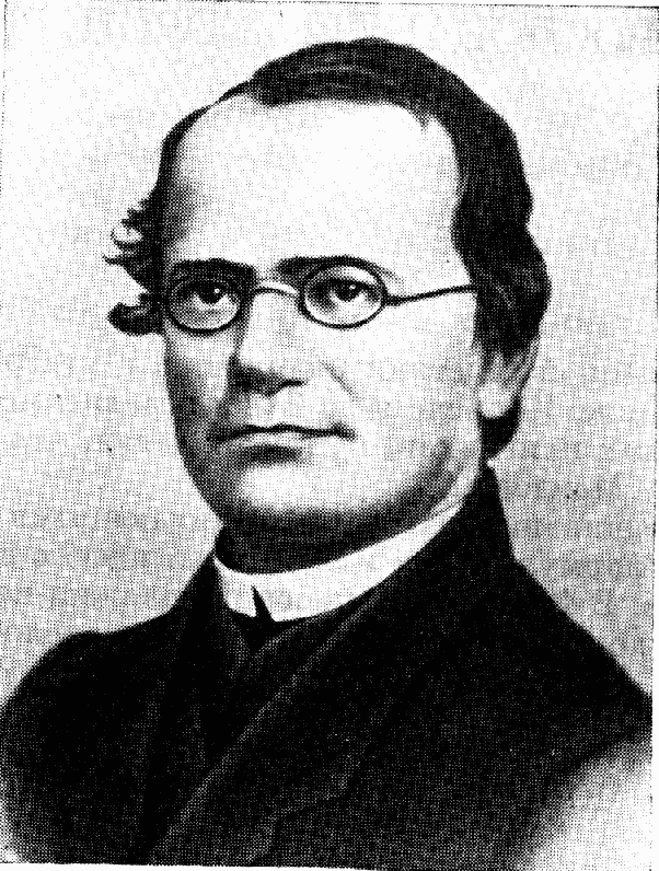 мендель биография. мендель биография. мендель ученый. грегор мендель основатель генетики. мендель ученый.