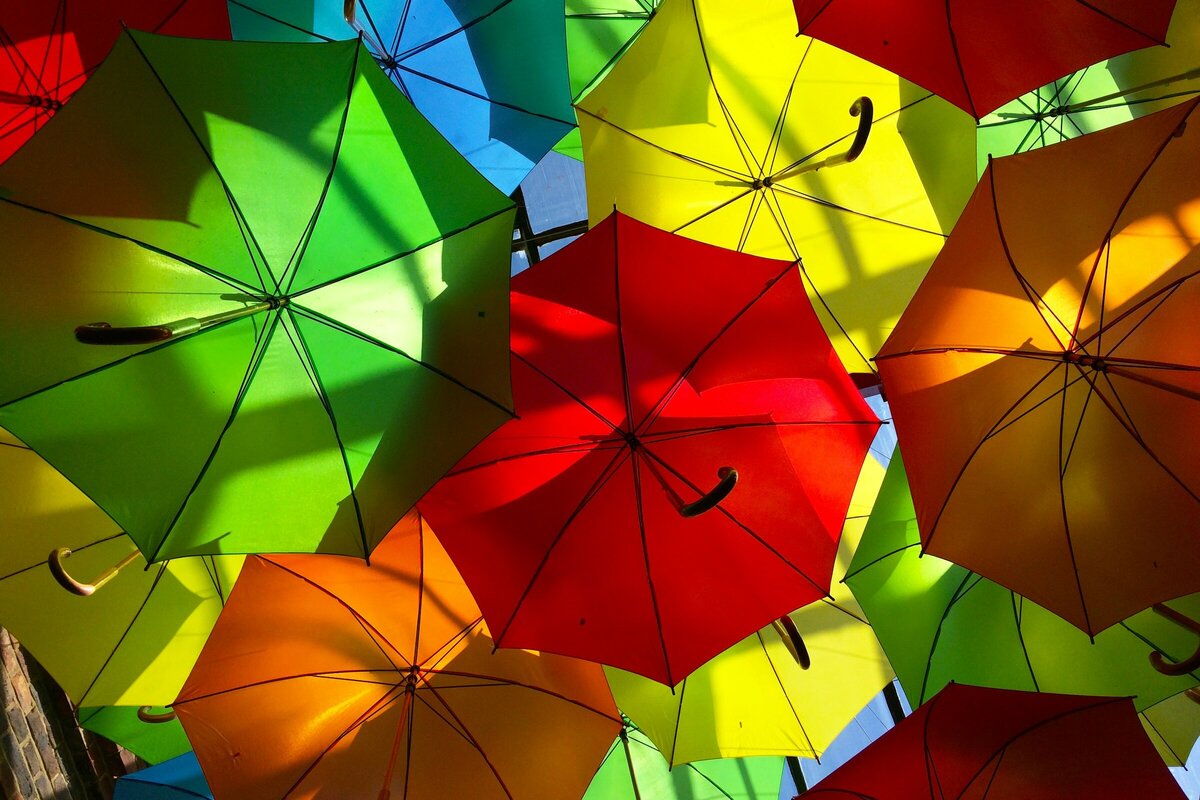     Как выбрать хороший зонтик: механизм складывания, материалы и дополнительные функции