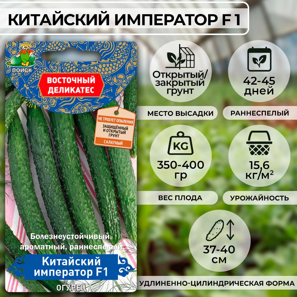 Огурцы сорт лист. Огурцы сорт лист