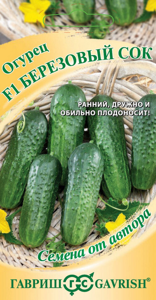 Какой сорт огурцов самый лучший. Какой сорт огурцов самый лучший