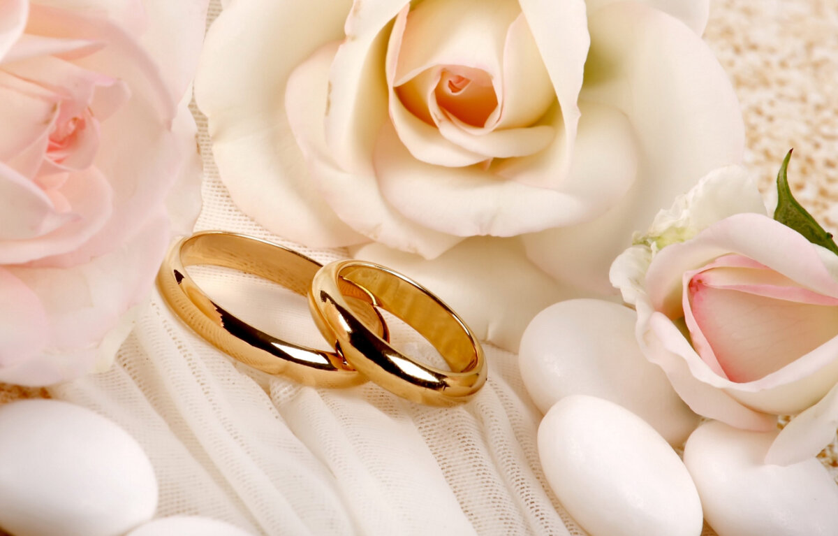 Шляпка многозначное слово. Предложения с многозначными словами и рисунками. Многозначность слова игла. Предложение с многозначным словом иголка. Иголка многозначное слово.