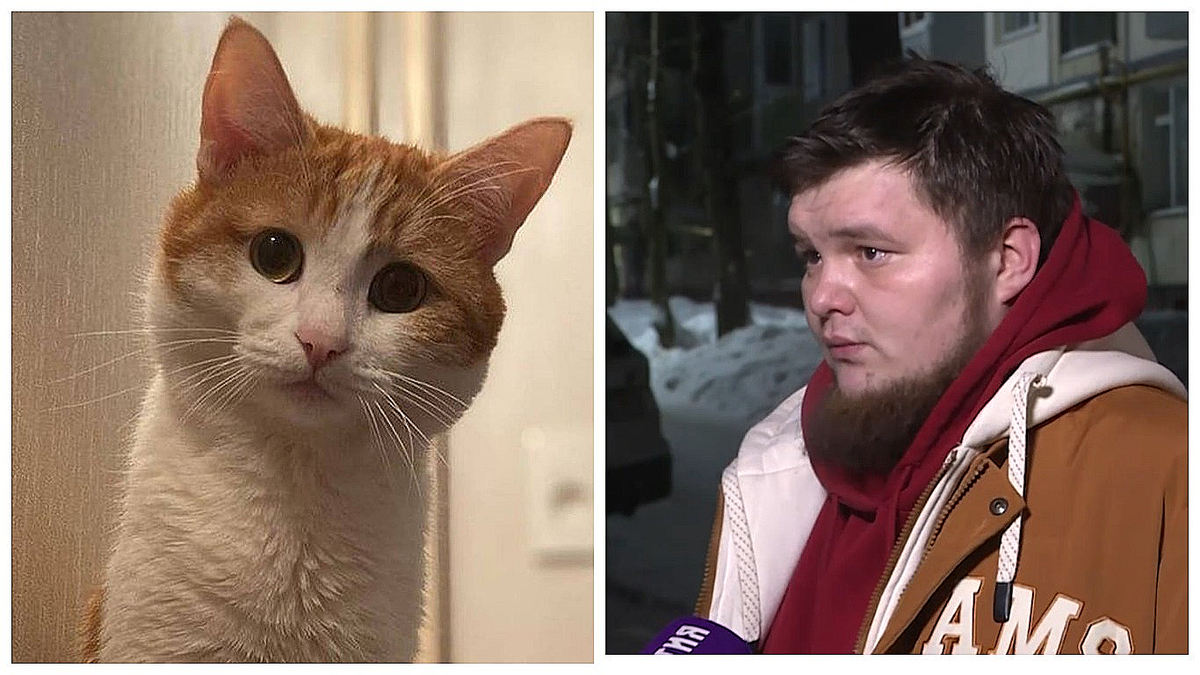 Когда-то Эдгар Гайфуллин "купился" на этот взгляд и забрал кота из приюта в Челябинске. Теперь оплакивает, как члена семьи