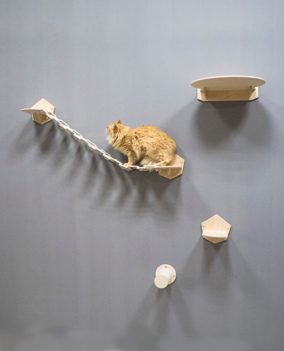 Настенный комплекс для кошек