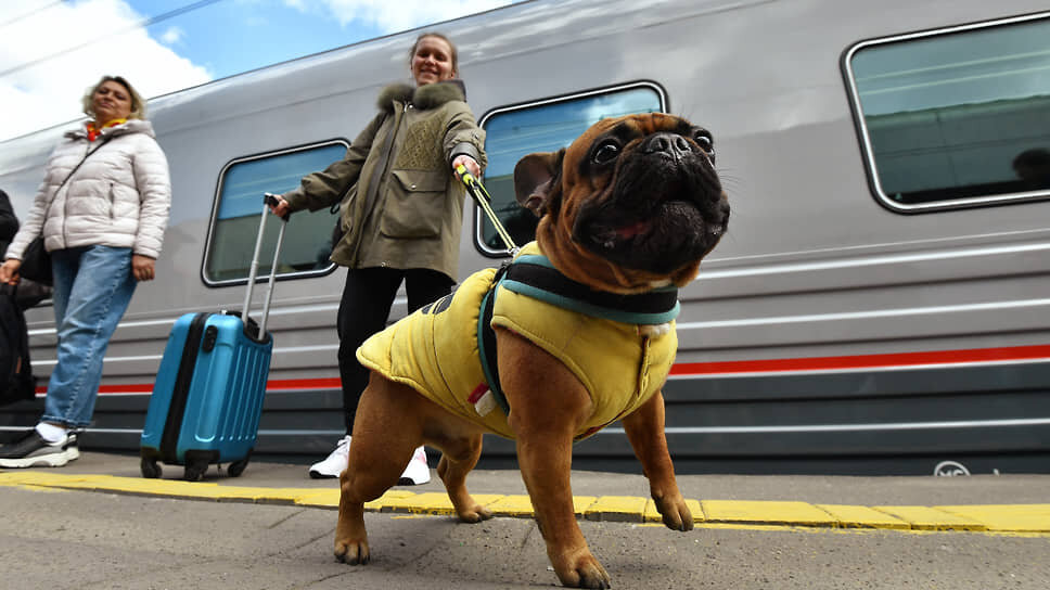    Фото: Игорь Иванко / Коммерсантъ