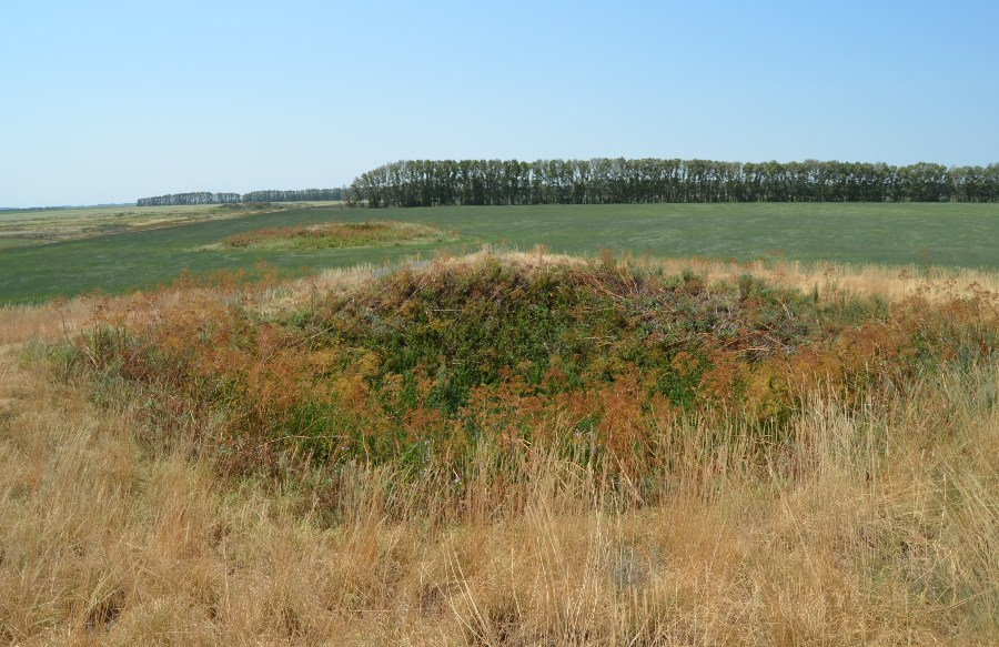 Рис. 3. Воронка обрушения на одном из курганов Бугринского комплекса, Алтай. https://dzen.ru/a/YQYodpvT_FnwmHuv