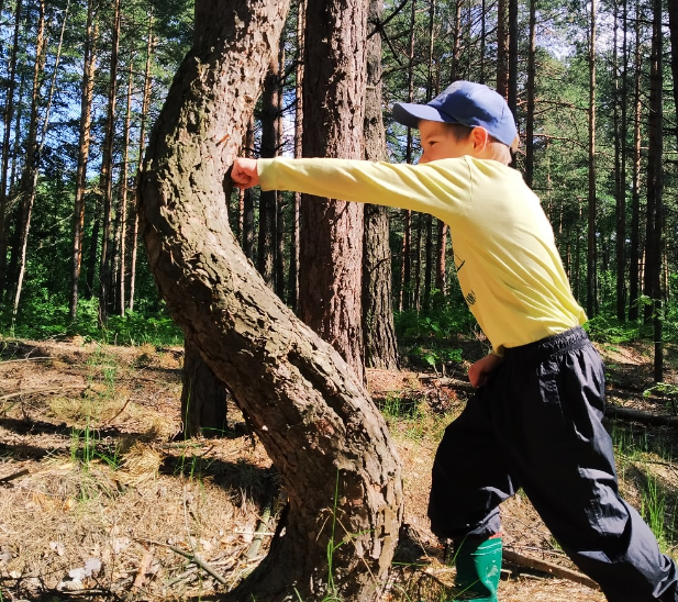 Таким ударом можно и собаку убить))) Гуляем по лесу