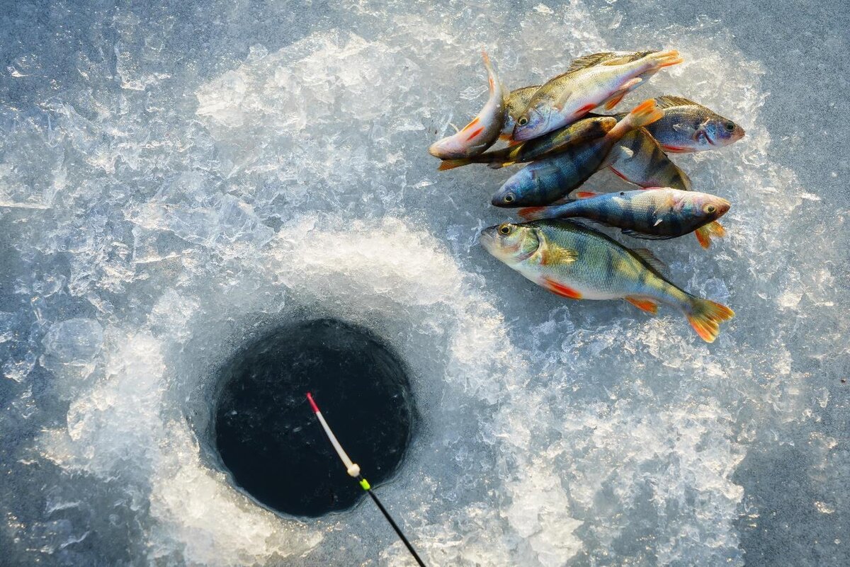Лов зимой. Подледная рыбалка. Рыбалка на озере. Зимняя ловля рыбы. Рыбалка на льду.