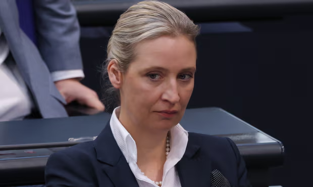 Элис Вейдель уволила старшего помощника за его присутствие на тайной встрече, вызвавшей общенациональные протесты. Фото: Шон Гэллап/Getty Images.