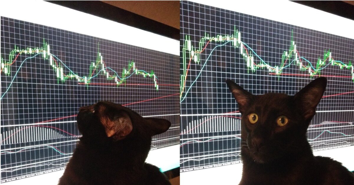 Иллюстрация: Яндекс Картинки