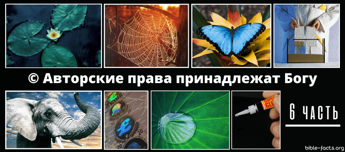 Авторские права принадлежат Богу