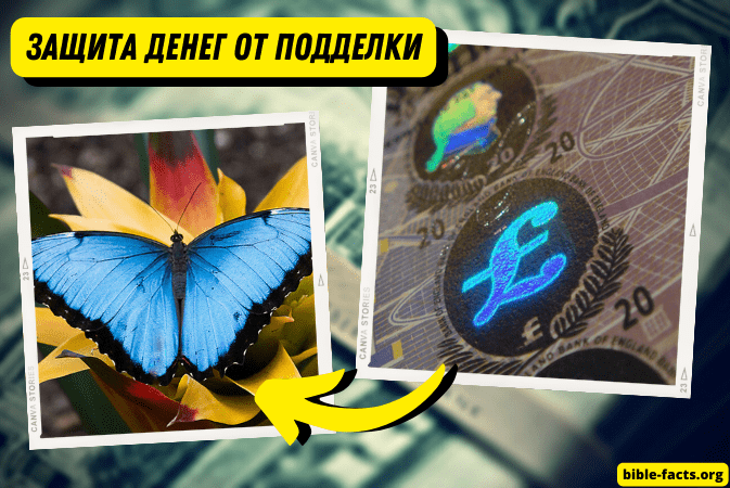 Защита денег от подделки