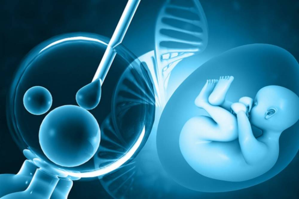 Экстракорпоральное оплодотворение