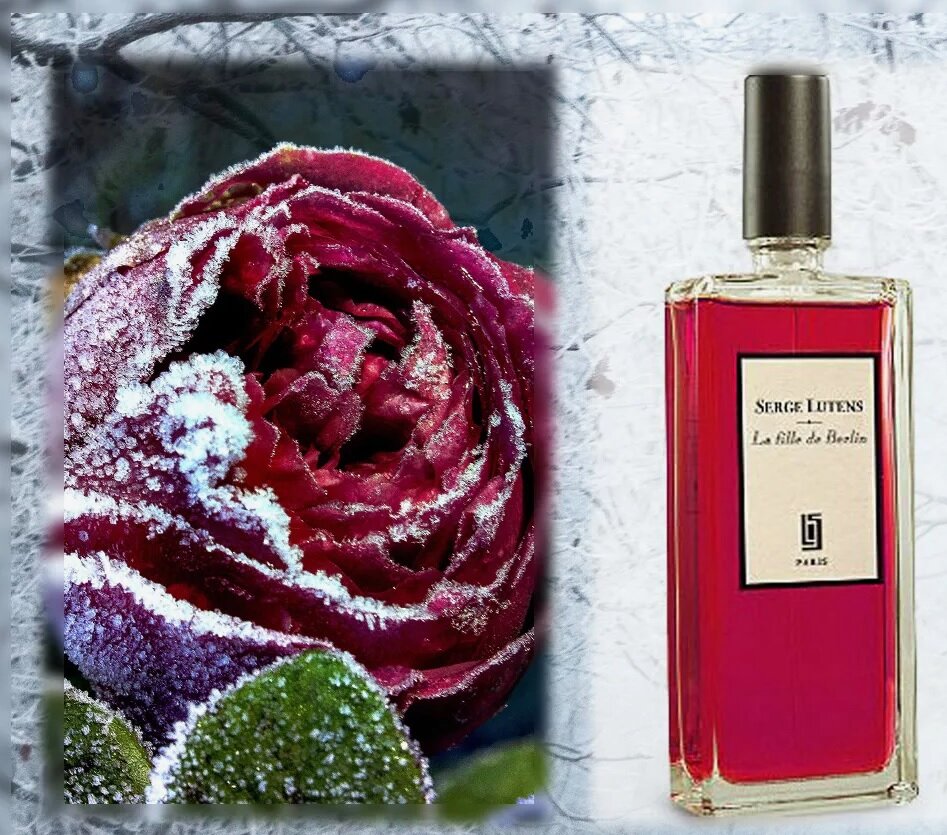 Фото из интернета, для иллюстрации