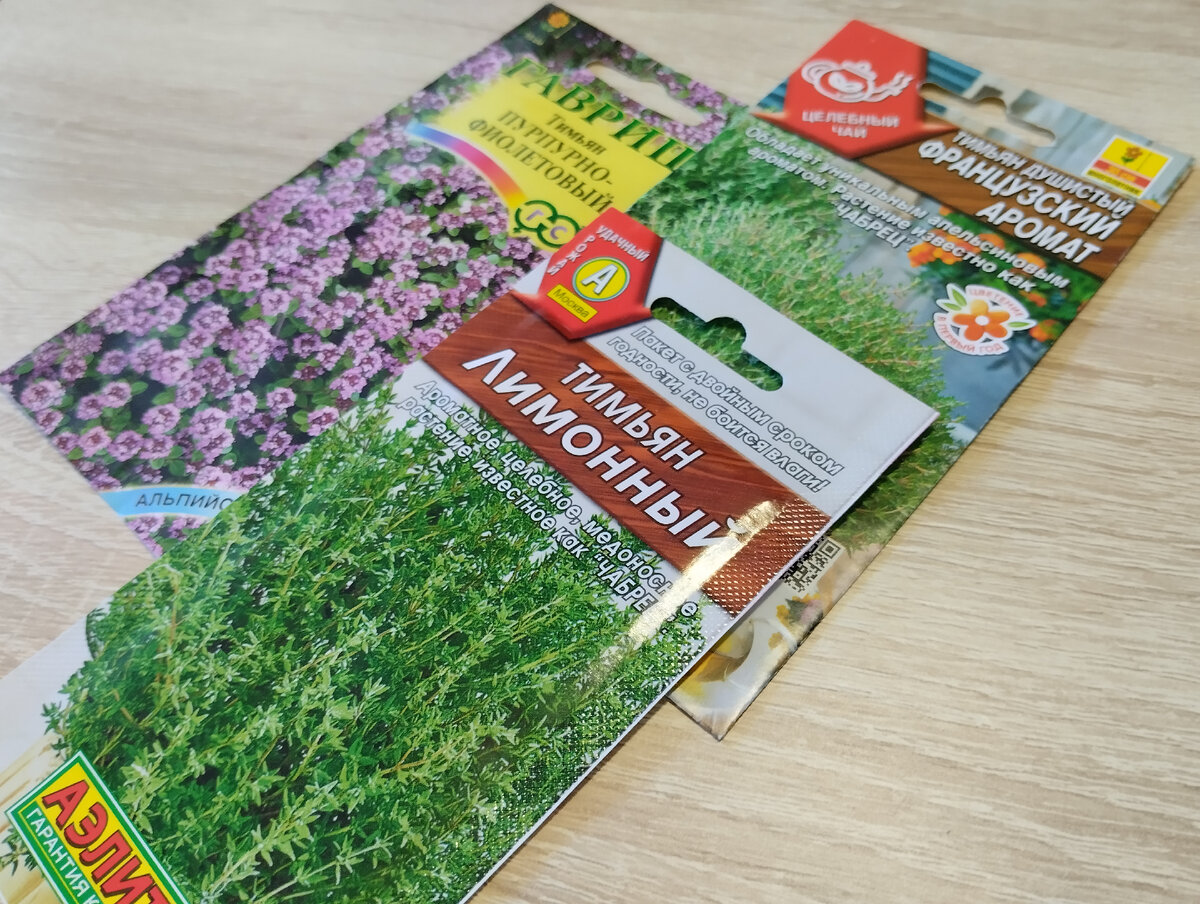 Новые сорта тимьяна пурпурного, тимьяна душистого и тимьяна обыкновенного