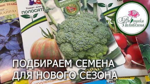 Что посадить в маленьком огороде для большого урожая. Подбираем семена культур