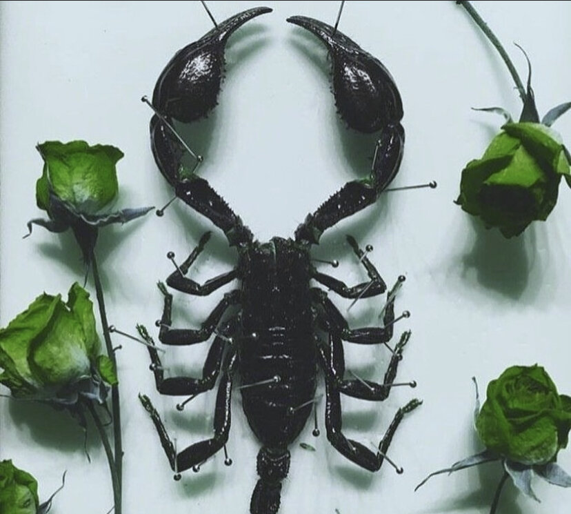 Люди родившиеся 21 октября. Люди родившиеся 21 октября. Родившиеся 21 октября. Портрет бунина ивана алексеевича. Нобель основатель нобелевской премии.