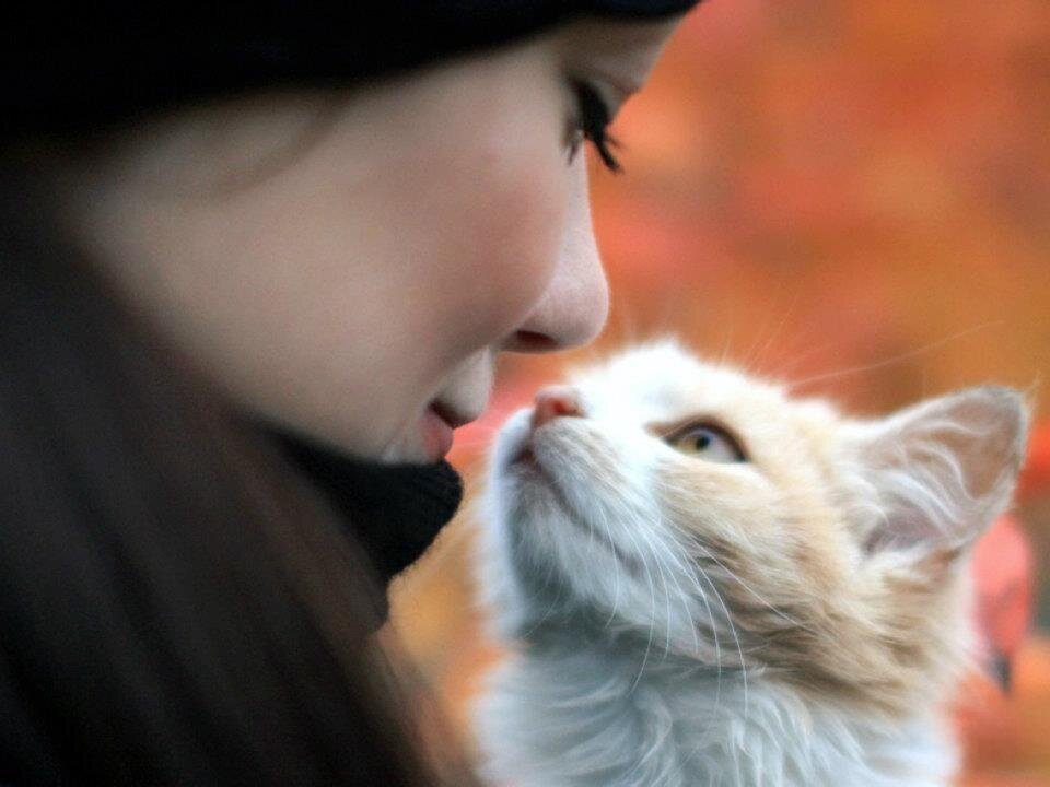  (Яндекс-картинки)