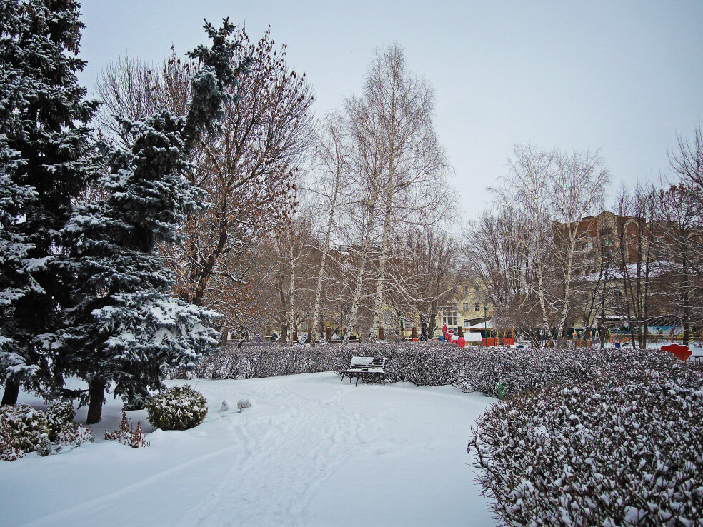 Пленум декабрь 2022. Пленум декабрь 2022. Пленум декабрь 2022. Пленум фсо динамо казань. Пленум фсо динамо.