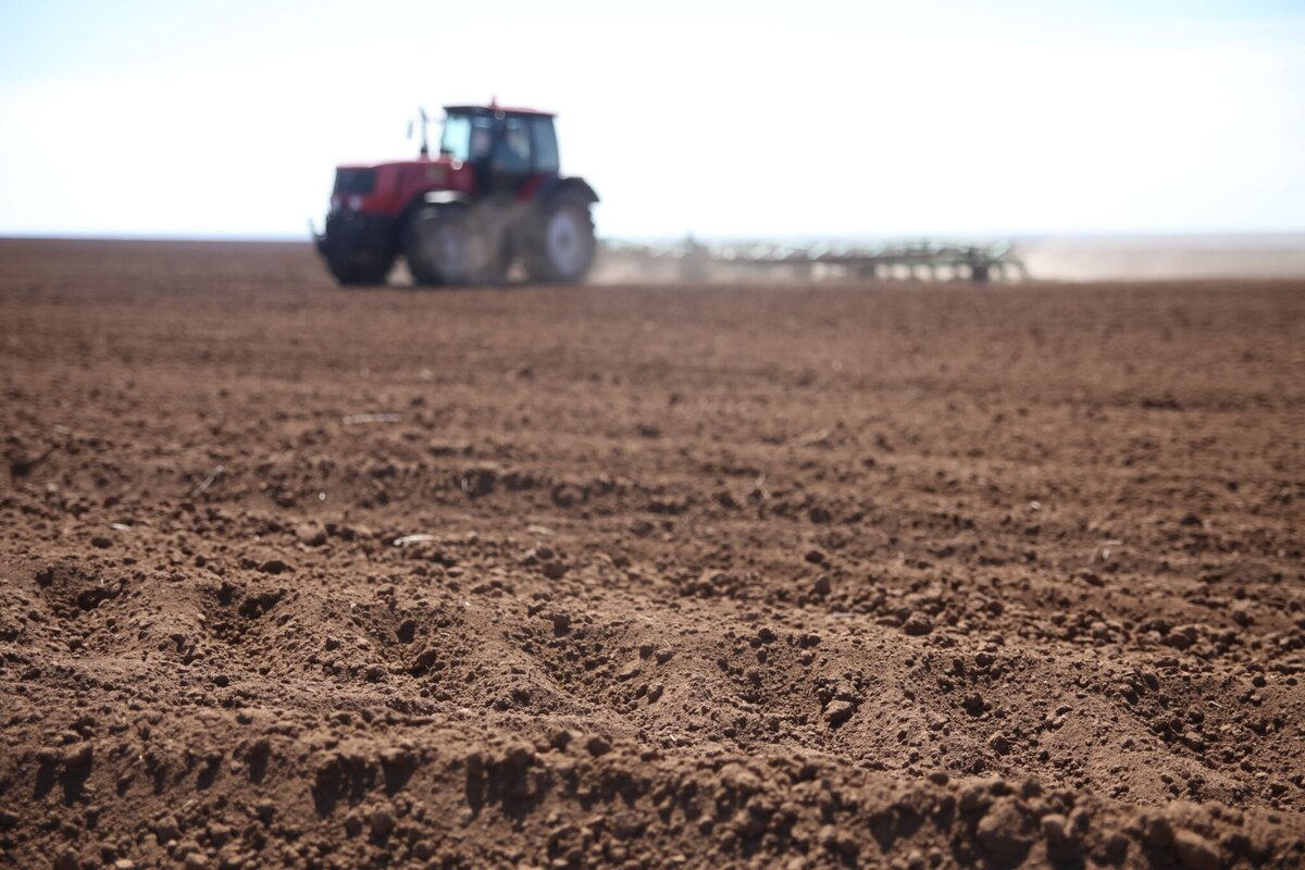 в пустыне черноземные почвы. рыхлая земля. пахотные земли украины. чернозем в степи. каштановые почвы степей россии.
